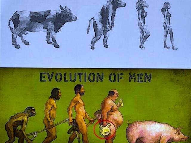 ewolucja.jpg - justynapara