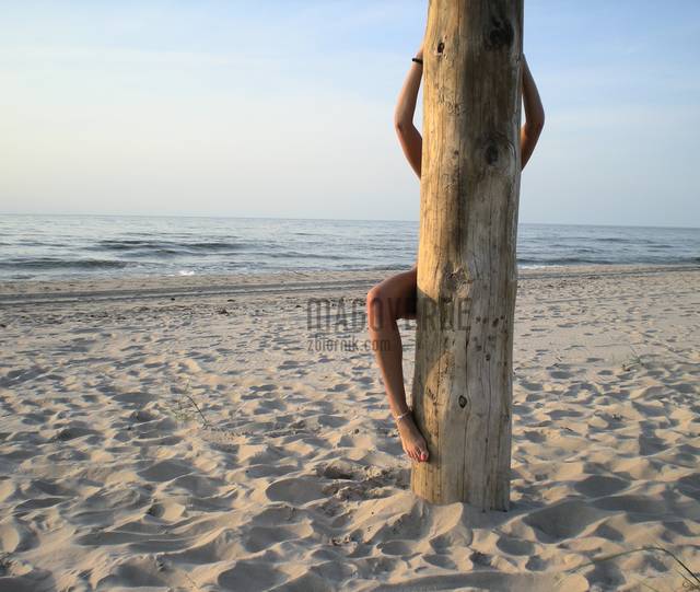 Za słupem - MagoVerde