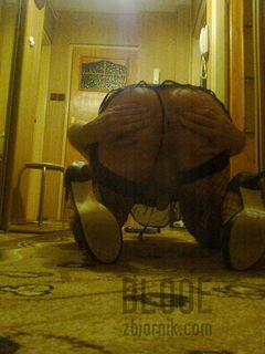 Szparka chętna i gotowa na kutaska