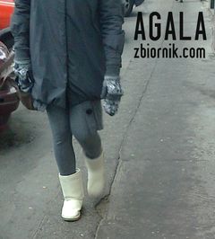 Zdjęcie3117l.jpg