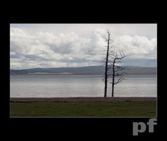 PARA STARYCH PRZYJACIÓŁ