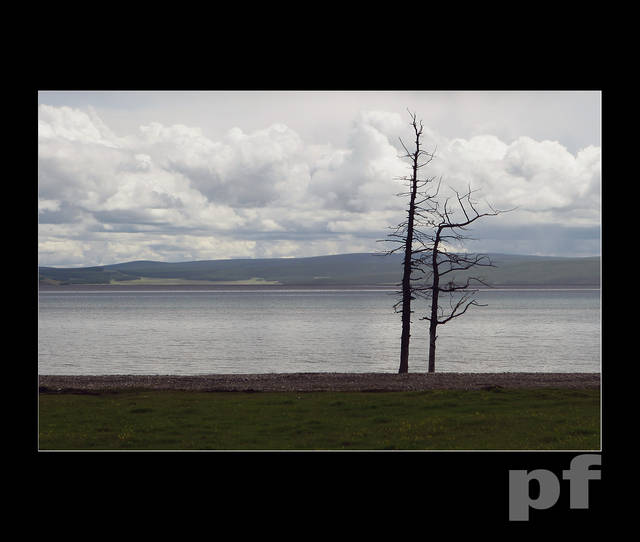 PARA STARYCH PRZYJACIÓŁ - panfoto