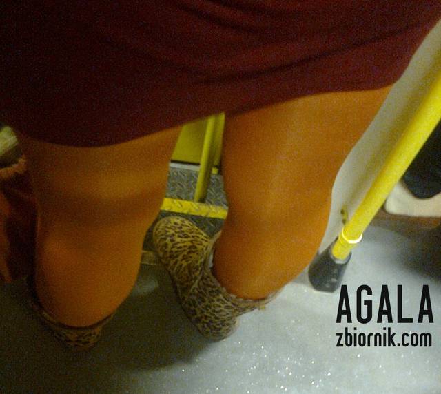 Zdjęcie3226kol.jpg - AGALA