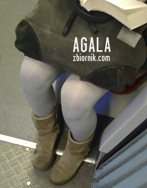 Zdjęcie3354kol.jpg - AGALA