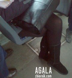 Zdjęcie3327L.jpg