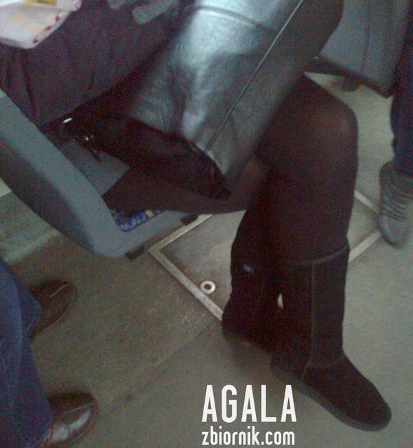 Zdjęcie3327L.jpg - AGALA