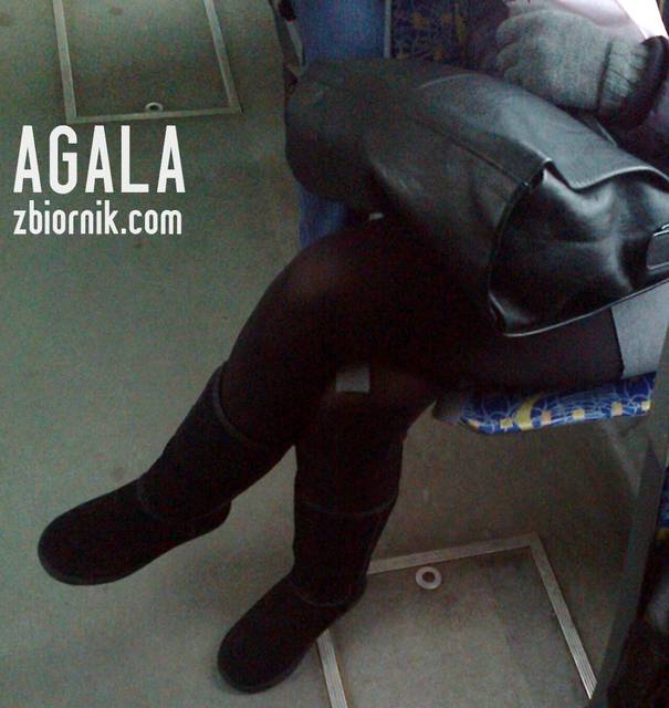 Zdjęcie3319L.jpg - AGALA