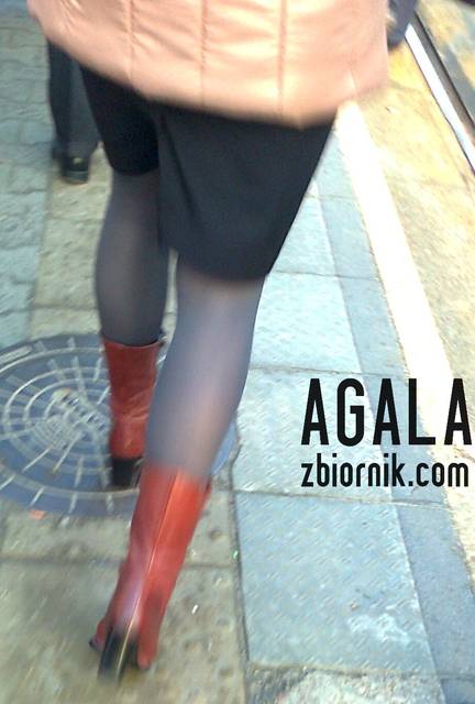Zdjęcie3296v.jpg - AGALA