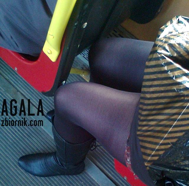 Zdjęcie3287cz.jpg - AGALA