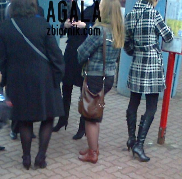 Zdjęcie3455czar.jpg - AGALA
