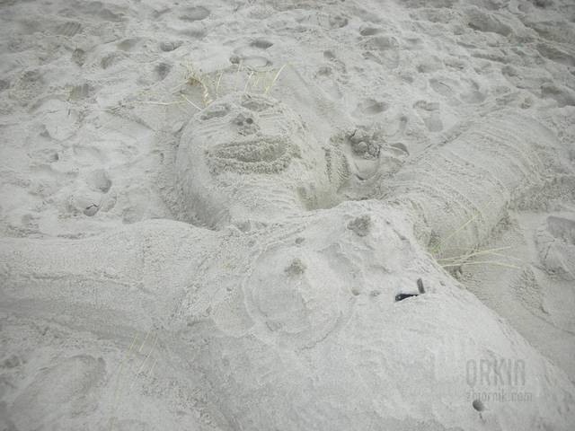 piaskowa babka - QRKIN