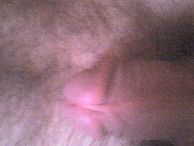 DSC00009.JPG - denit