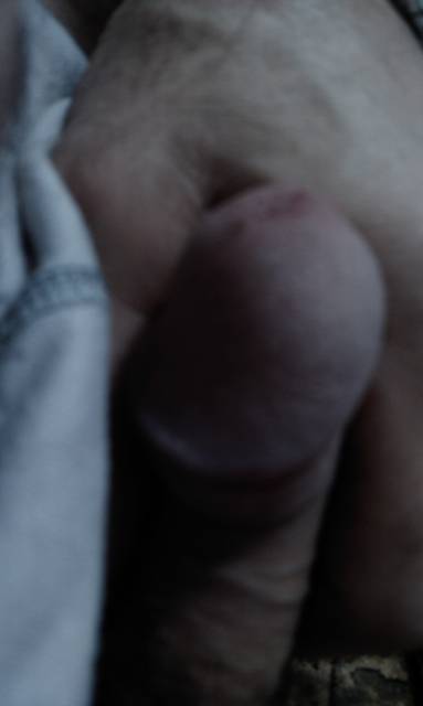 IMAG0250.1.jpg - ny39