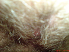 DSC00031.JPG