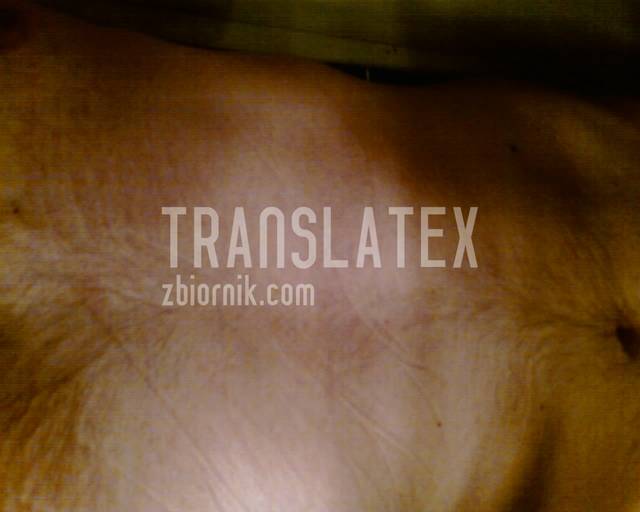 IMAGE_056.jpg - translatex