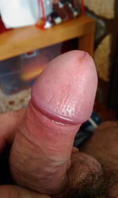 IMAG0290.1.jpg
