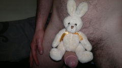 zajaczek ujezdza konia