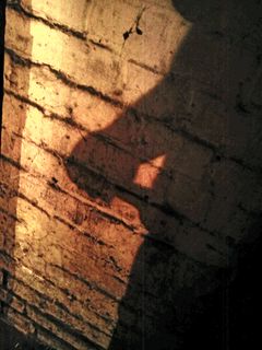 Shadowplay