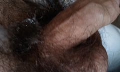 IMAG0304.1.jpg