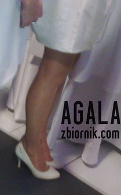 Ci094kl.jpg
