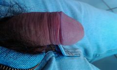 IMAG0317.1.jpg