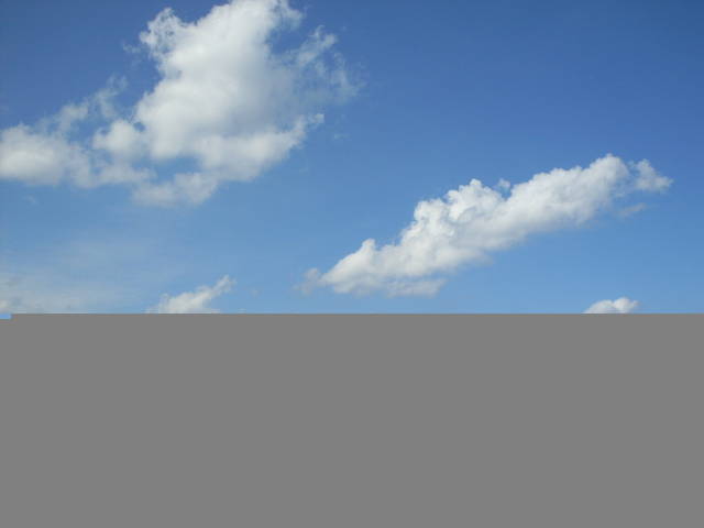 SDC10450.JPG - janek520