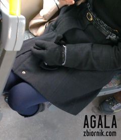 Zdjęcie060kol.jpg