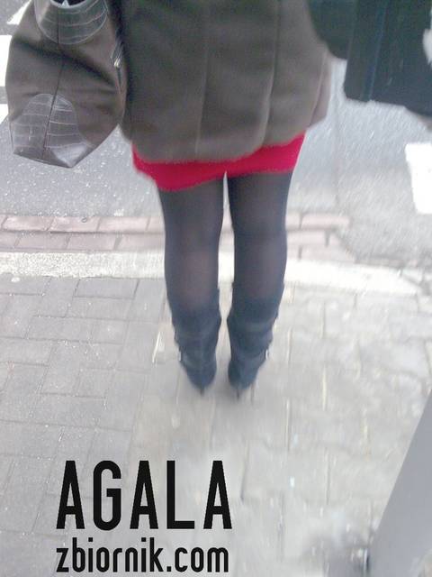 Zdjęcie007cz.jpg - AGALA