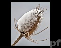 I CO Z TYM ZROBIĆ ?