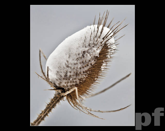 I CO Z TYM ZROBIĆ ? - panfoto