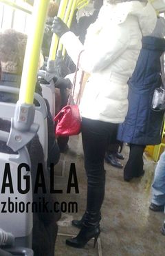 Zdjęcie016l.jpg