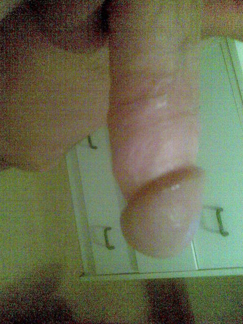 Bild042.jpg - waldi2303