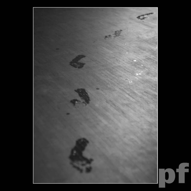 ZWIAŁA Z WANNY - panfoto