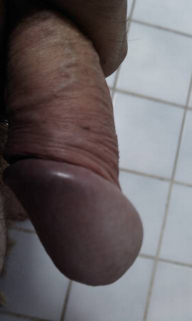 IMAG0350.1.jpg - ny39