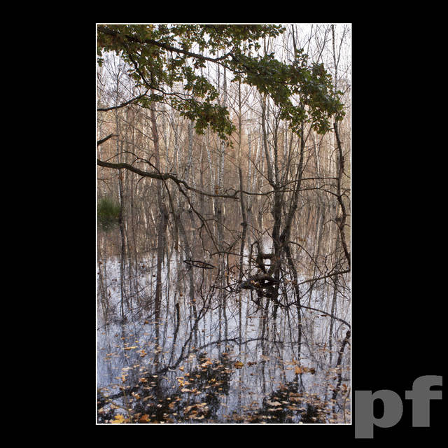 CO ARTYSTA MIAŁ NA MYŚLI ..? - panfoto