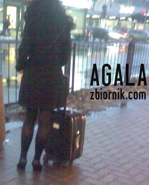 Zdjęcie122cz.jpg - AGALA
