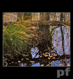 RZECZYWISTOŚĆ JEST POZYTYWNA I NEGATYWNA