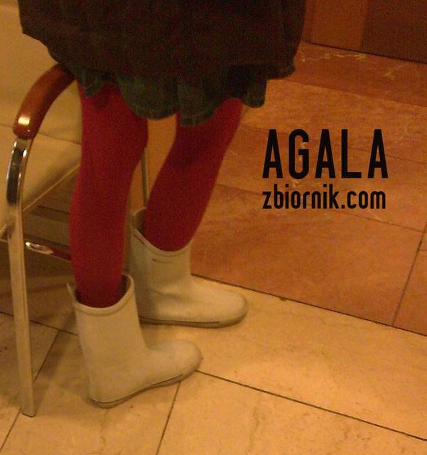 Zdjęcie115kol.jpg - AGALA