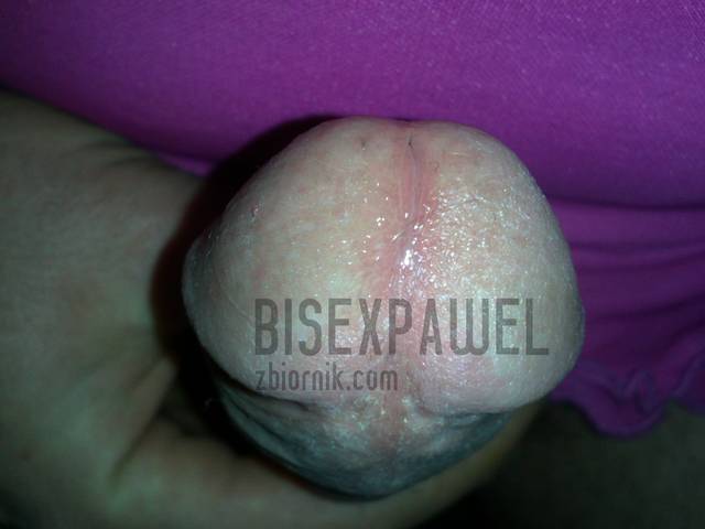 bisexpawel