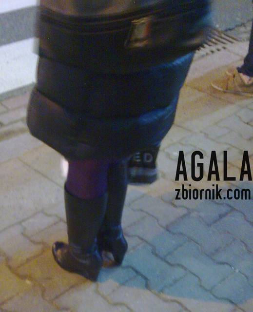 Zdjęcie188kol.jpg - AGALA