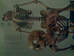 To sie nazywa sex do upadłego . . ;)