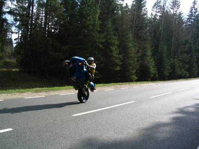 marko1988
