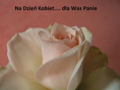 Kwiaty.... dla wszystkich Pań