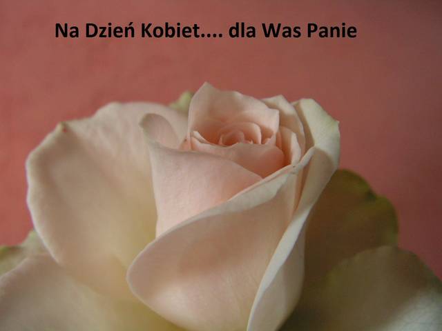 Kwiaty.... dla wszystkich Pań - Sedecrem