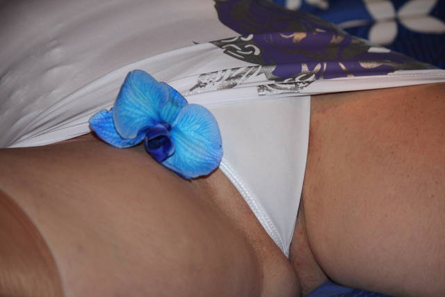 Niebieska Orhidea - MITSUDROID