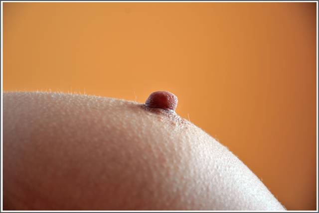 cycuś - wiktorizuza