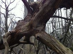 SKOJARZENIA...hmmmm...z czym?