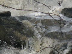 marzy mi się ta... wilgoć...:)