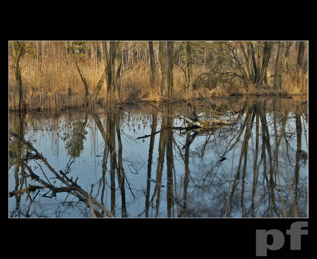 BOBROWE BAGNO - panfoto