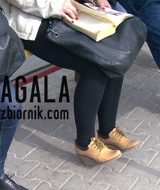 Zdjęcie496l.jpg - AGALA